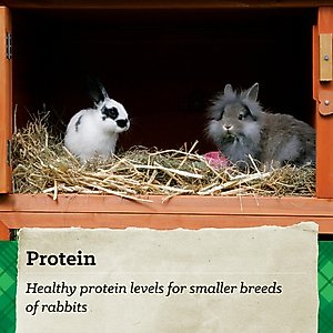 Nutrena NatureWise Premium Rabbit Food, 25-lb bag