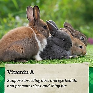 Nutrena NatureWise Premium Rabbit Food, 25-lb bag