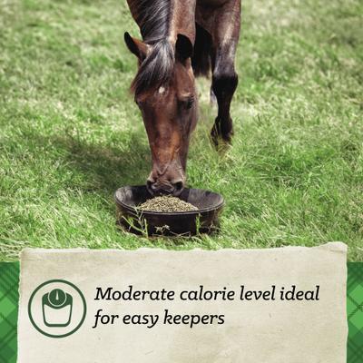 Show full view: Nutrena SafeChoice Maintenance Horse Feed, 50-lb bag slide 3 of 10