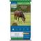 Show in main carousel: Nutrena SafeChoice Senior Horse Feed, 50-lb bag slide 1 of 9