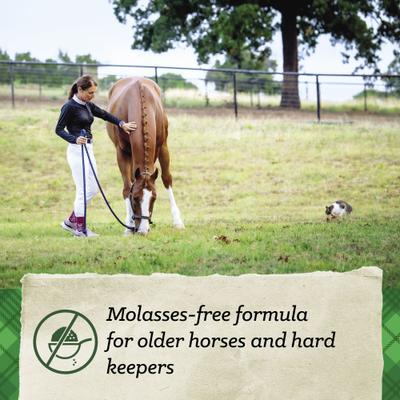 Show full view: Nutrena SafeChoice Senior Molasses Free Horse Feed, 50-lb bag slide 2 of 9