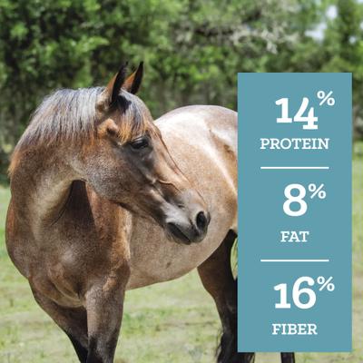 Show full view: Nutrena SafeChoice Senior Molasses Free Horse Feed, 50-lb bag slide 3 of 9
