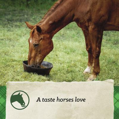 Show full view: Nutrena SafeChoice Senior Molasses Free Horse Feed, 50-lb bag slide 7 of 9