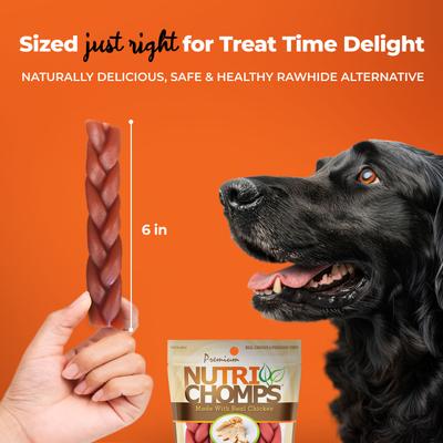 Show full view: Nutri Chomps 6" Chicken Flavor Braid Dog Treats, 4 count slide 6 of 10