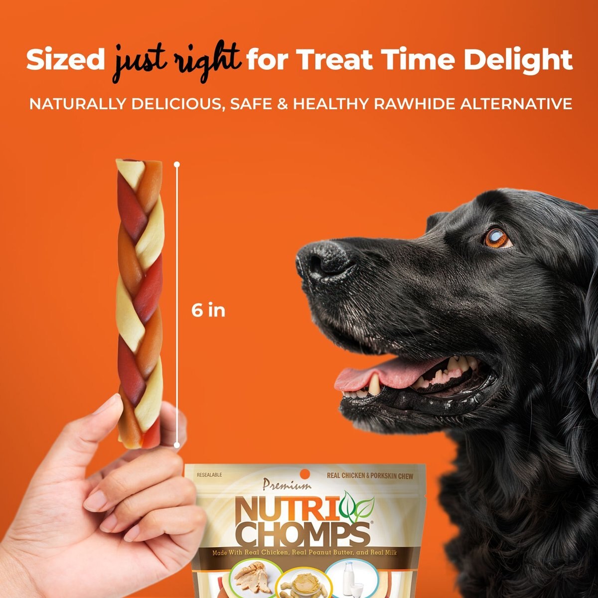 Nutri Chomps 6" Mixed Flavor Braid Dog Treats