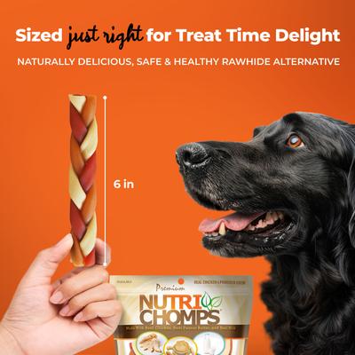 Show full view: Nutri Chomps 6" Mixed Flavor Braid Dog Treats, 10 count slide 6 of 9