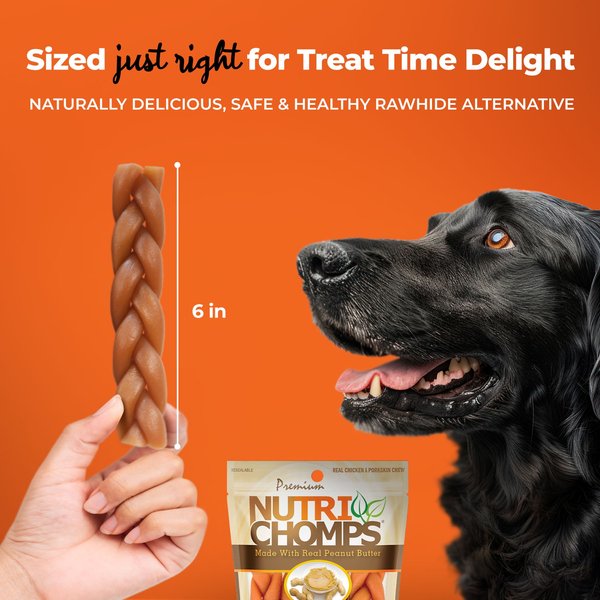Nutri Chomps 6" Peanut Butter Flavor Braid Dog Treats