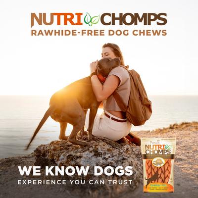 Show full view: Nutri Chomps 6" Peanut Butter Flavor Braid Dog Treats, 4 count slide 8 of 10