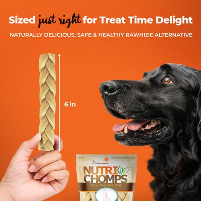 Show full view: Nutri Chomps 6-in Milk Flavor Braid Dog Treats, 4 count slide 6 of 10