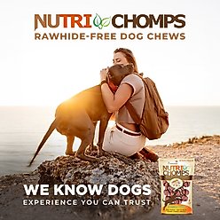 Nutri Chomps Mini Chicken Knot Dog Treats, 8 count slide 2 of 7