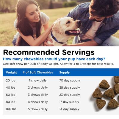 Show full view: Nutri-Vet Adult-Vite Soft Chews Multivitamin for Dogs, 6-oz bag slide 6 of 11