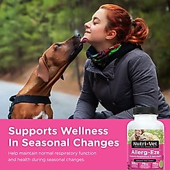 Nutri-Vet Allerg-Eze Chewable Tablets Respiratory Supplement for Dogs, 60 count slide 2 of 9