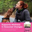 Show in main carousel: Nutri-Vet Allerg-Eze Chewable Tablets Respiratory Supplement for Dogs, 60 count slide 2 of 10