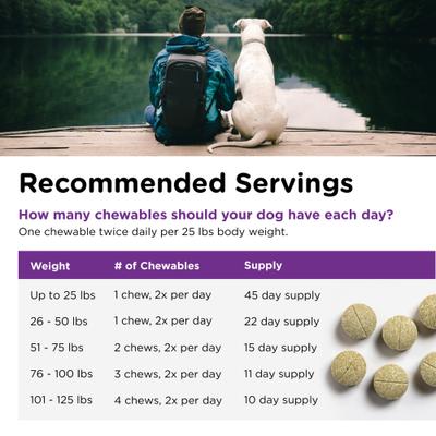Show full view: Nutri-Vet Bladder Control Chewable Tablets Urinary Supplement for Dogs, 90 count slide 7 of 13