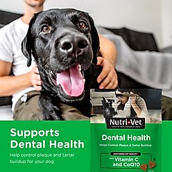 Nutri-Vet Dental Health Dental Dog Treats, 6-oz bag, count varies slide 2 of 9