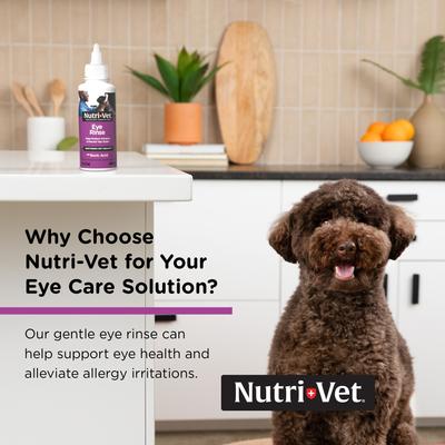 Show full view: Nutri-Vet Dog Eye Rinse & Drops for Dogs, 4-fl oz bottle slide 5 of 12