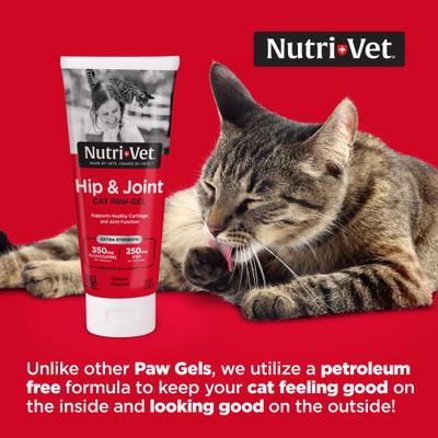 Show full view: Nutri-Vet Extra Strength Salmon Flavored Gel Joint Supplement for Cats, 3-oz tube slide 4 of 11