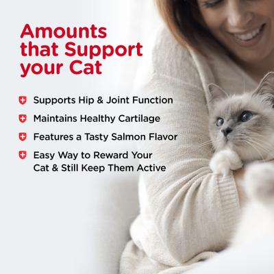 Show full view: Nutri-Vet Extra Strength Salmon Flavored Gel Joint Supplement for Cats, 3-oz tube slide 8 of 11