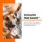 Show in main carousel: Nutri-Vet Fish Oil Omega-3 Liquid Skin & Coat Supplement for Dogs, 12-fl oz bottle slide 6 of 9