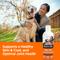 Show in main carousel: Nutri-Vet Fish Oil Omega-3 Liquid Skin & Coat Supplement for Dogs, 12-fl oz bottle slide 5 of 9