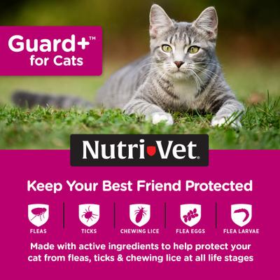 Show full view: Nutri-Vet Guard Plus Flea & Tick Treatment for Cats, over 1.5 lbs, 3 doses slide 3 of 8