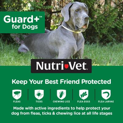 Show full view: Nutri-Vet Guard Plus Flea & Tick Treatment for Large Dogs, 89-132 lbs, 3 doses slide 3 of 8