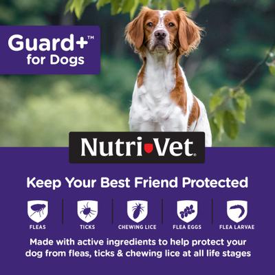 Show full view: Nutri-Vet Guard Plus Flea & Tick Treatment for Medium Dogs, 23-44 lbs, 3 doses slide 3 of 8