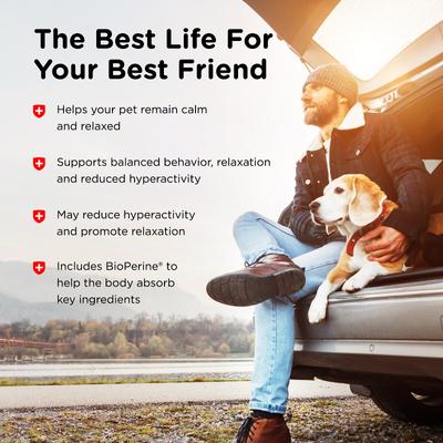 Show full view: Nutri-Vet Hemp Peanut Butter & Honey Flavor Calming Soft Chew Supplement for Adult Dogs, 12.7-oz slide 5 of 10