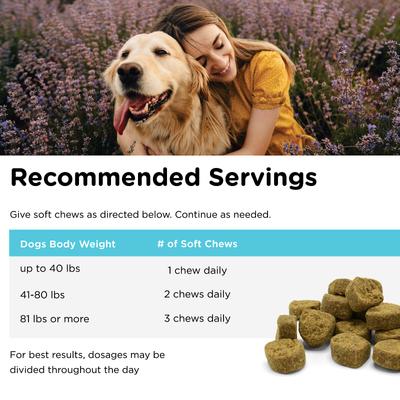 Show full view: Nutri-Vet Hemp Peanut Butter & Honey Flavor Calming Soft Chew Supplement for Adult Dogs, 12.7-oz slide 6 of 10