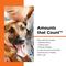 Show in main carousel: Nutri-Vet Hemp Peanut Butter & Honey Flavor Skin & Coat Soft Chew Supplement for Adult Dogs, 12.7-oz slide 4 of 10