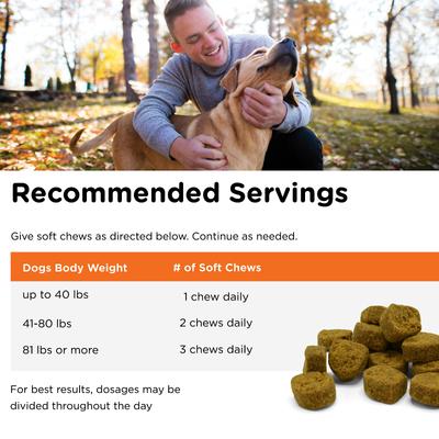 Show full view: Nutri-Vet Hemp Peanut Butter & Honey Flavor Skin & Coat Soft Chew Supplement for Adult Dogs, 12.7-oz slide 6 of 10