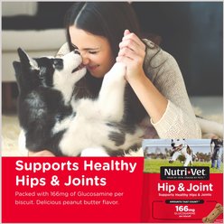 Nutri-Vet Hip & Joint Regular Strength Biscuits for Small & Medium Dogs Peanut Butter Flavor Treats, 19.5-oz bag slide 2 of 8