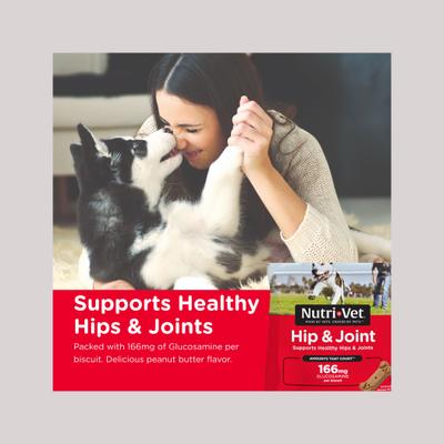 Show full view: Nutri-Vet Hip & Joint Regular Strength Biscuits for Small & Medium Dogs Peanut Butter Flavor Treats, 19.5-oz bag slide 3 of 11