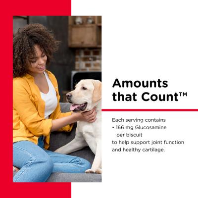 Show full view: Nutri-Vet Hip & Joint Regular Strength Biscuits for Small & Medium Dogs Peanut Butter Flavor Treats, 19.5-oz bag slide 5 of 11