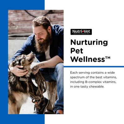 Show full view: Nutri-Vet Multi-Vite Chewable Tablets Multivitamin for Dogs, 180 count slide 5 of 11