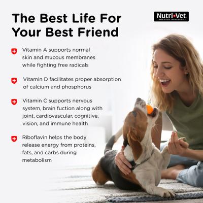 Show full view: Nutri-Vet Multi-Vite Chewable Tablets Multivitamin for Dogs, 180 count slide 6 of 11