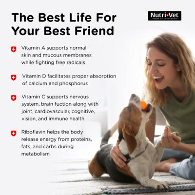 Show full view: Nutri-Vet Multi-Vite Chewable Tablets Multivitamin for Dogs, 60 count slide 8 of 11