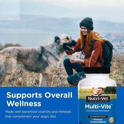 Show full view: Nutri-Vet Multi-Vite Chewable Tablets Multivitamin for Dogs, 60 count slide 10 of 11