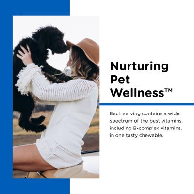 Show full view: Nutri-Vet Puppy-Vite Chewable Tablets Multivitamin for Dogs, 60 count slide 4 of 11