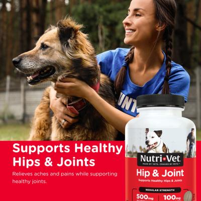 Show full view: Nutri-Vet Regular Strength Chewable Tablets Joint Supplement for Dogs, 120 count slide 4 of 11