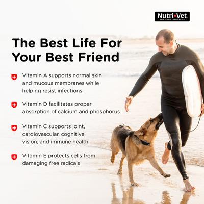 Show full view: Nutri-Vet Senior-Vite Liver Flavor Chewable Tablet Multivitamin for Senior Dogs, 120 count slide 5 of 11