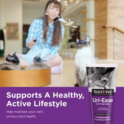 Show full view: Nutri-Vet Uri-Ease Salmon Flavored Gel Urinary Supplement for Cats, 3-oz tube slide 3 of 12