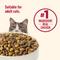 Show in main carousel: Nutrish Everyday Digestion Chicken, Brown Rice & Salmon Recipe with Peas & Carrots Dry Cat Food, 13-lb bag (Rachael Ray) slide 7 of 12