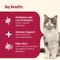 Show in main carousel: Nutrish Everyday Digestion Chicken, Brown Rice & Salmon Recipe with Peas & Carrots Dry Cat Food, 13-lb bag (Rachael Ray) slide 5 of 12