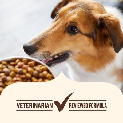 Show full view: Nutrish Everyday Immune Support Chicken, Salmon, Blueberry & Pumpkin Recipe Dry Dog Food, 26-lb bag (Rachael Ray) slide 7 of 12