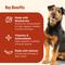 Show in main carousel: Nutrish Everyday Immune Support Chicken, Salmon, Blueberry & Pumpkin Recipe Dry Dog Food, 26-lb bag (Rachael Ray) slide 4 of 12