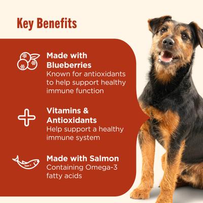 Show full view: Nutrish Everyday Immune Support Chicken, Salmon, Blueberry & Pumpkin Recipe Dry Dog Food, 26-lb bag (Rachael Ray) slide 4 of 12