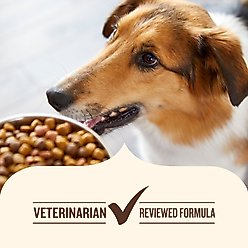 Nutrish Whole Health Blend Large Breed Real Chicken, Pea, Brown Rice & Carrot Recipe Dry Dog Food, 40-lb bag slide 2 of 9