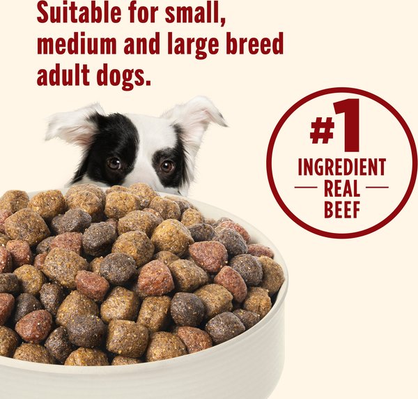 Rachael Ray Nutrish Real Beef, Pea, & Brown Rice Recipe Dry Dog Food
