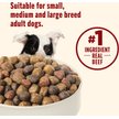Show in main carousel: Nutrish Whole Health Blend Real Beef, Pea, & Brown Rice Recipe Dry Dog Food, 40-lb bag slide 6 of 13
